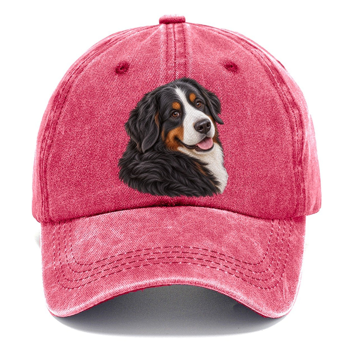 Bernese Over Shoulder Welcome Pastimes Companions Classic Cap – Pomegranate Blush