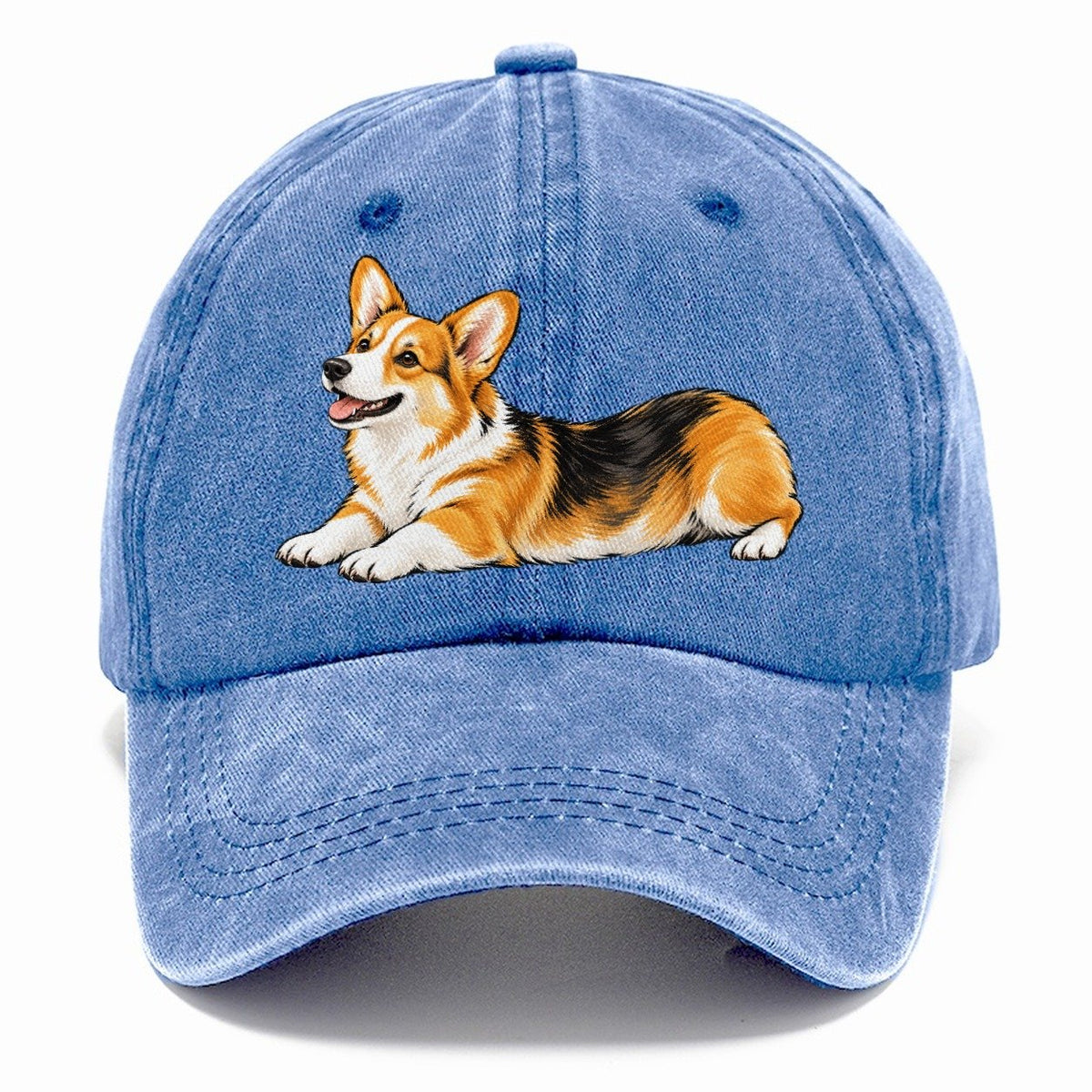 Lying Corgi Classic Cap – Summer Sky