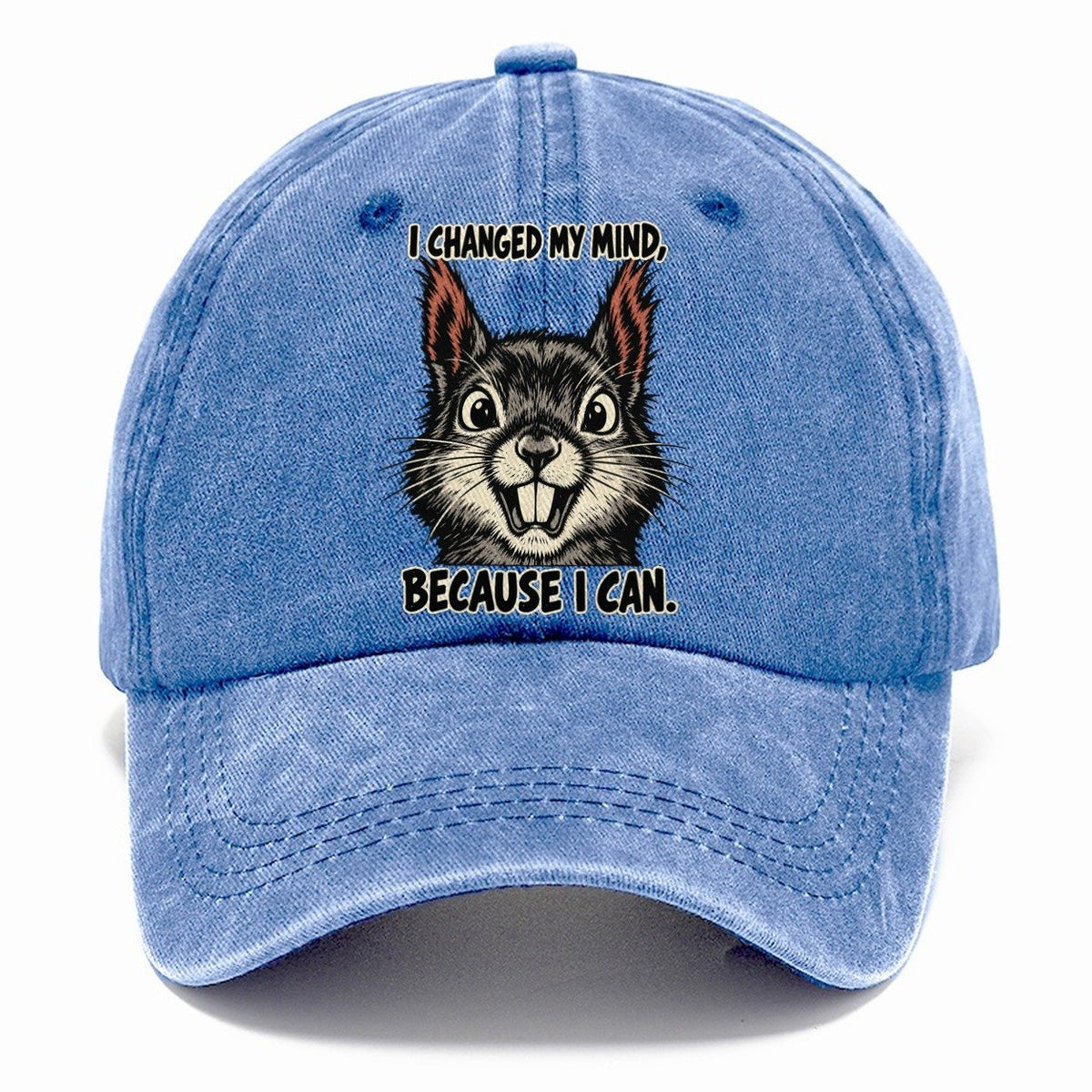 I Changed My Mind Feral Logic Classic Cap – Summer Sky