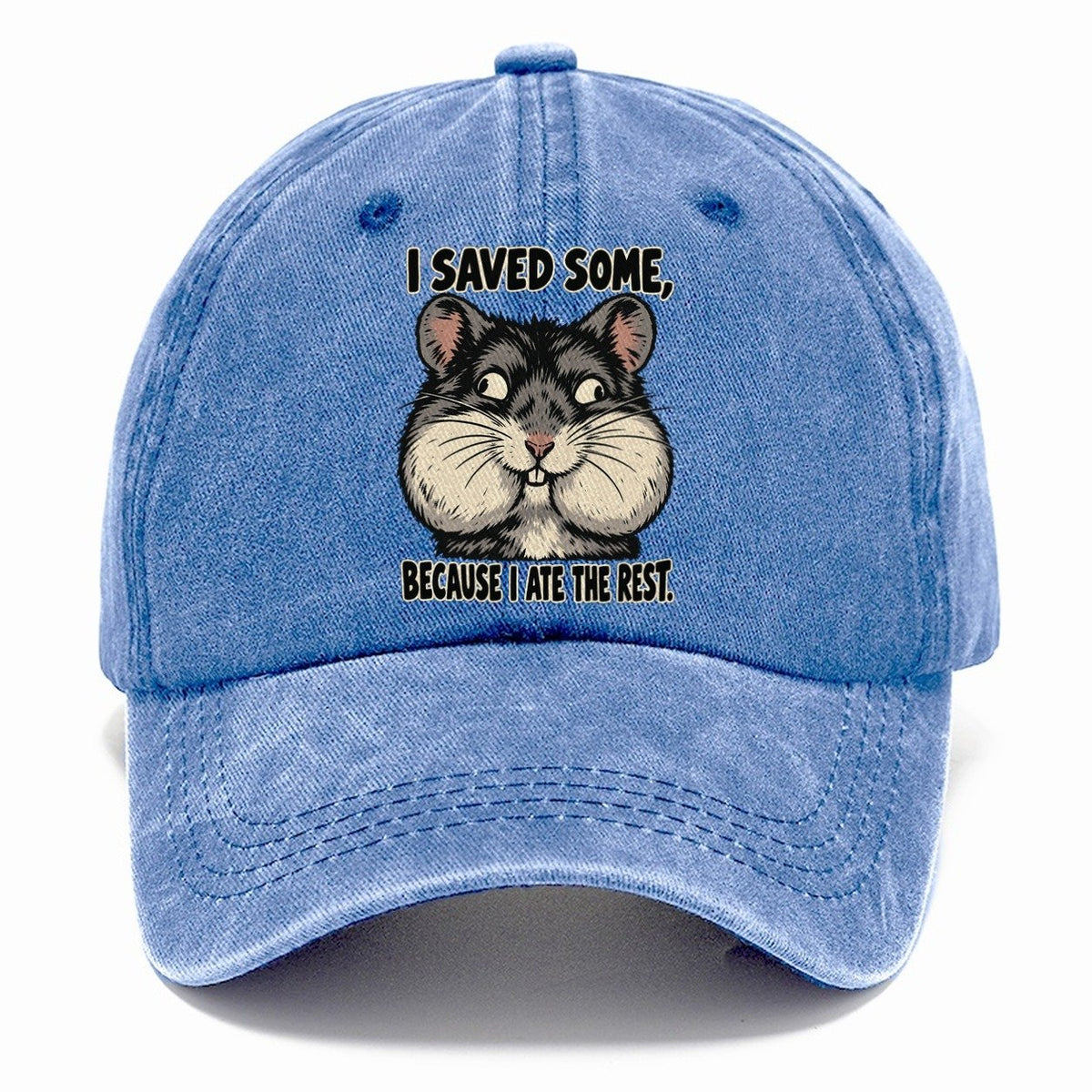 I Saved Some Feral Logic Classic Cap – Summer Sky