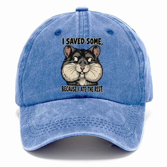 I Saved Some Feral Logic Classic Cap – Summer Sky