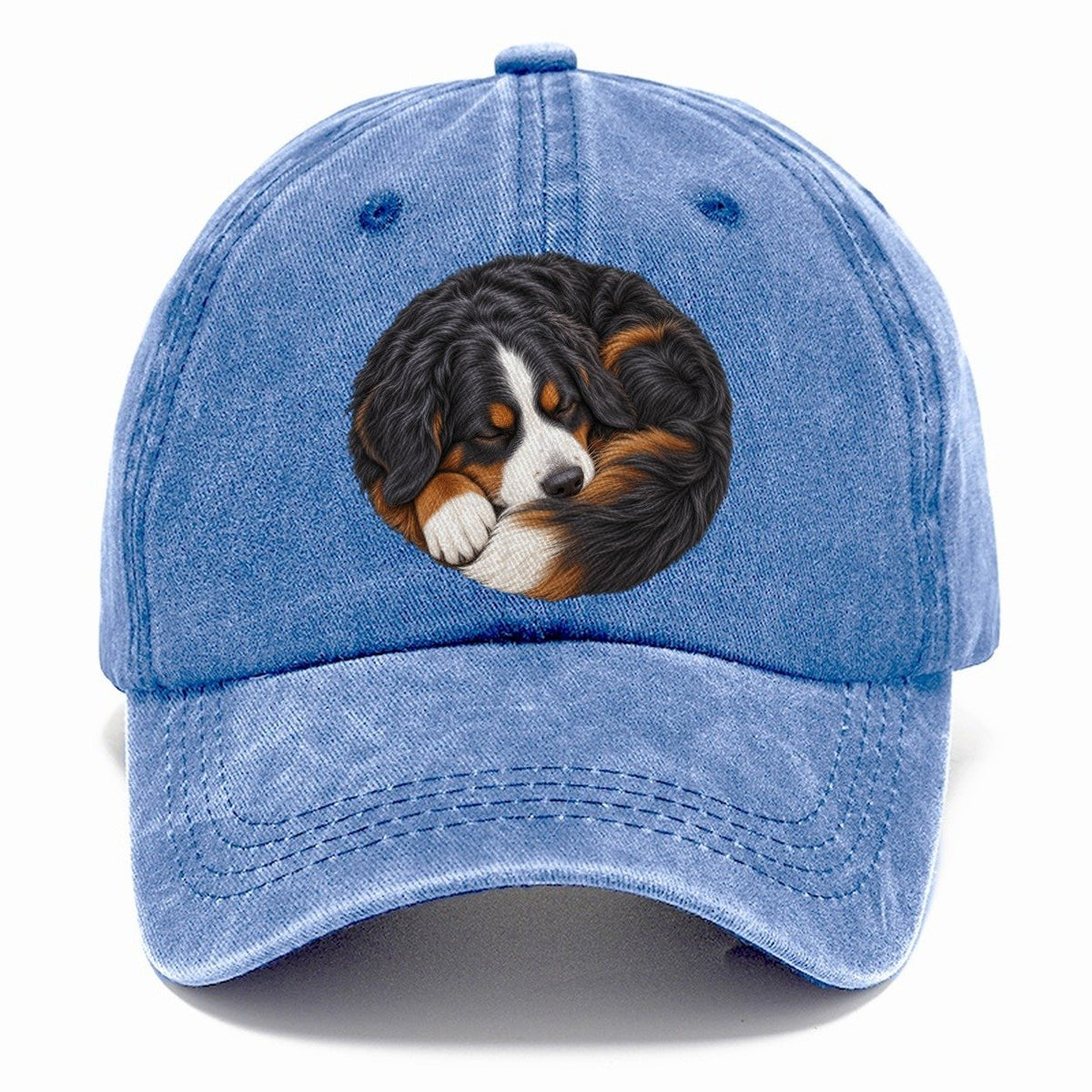 Bernese Round Hearth Nap Pastimes Companions Classic Cap – Summer Sky