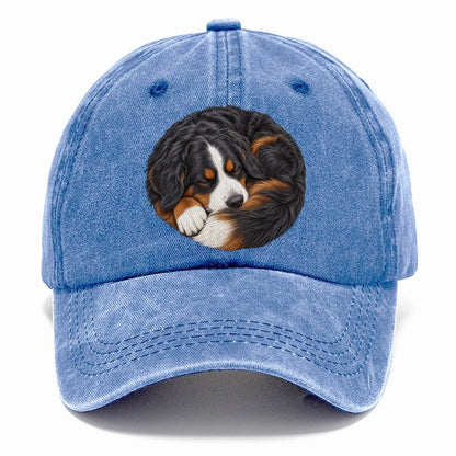 Bernese Round Hearth Nap Pastimes Companions Classic Cap – Summer Sky