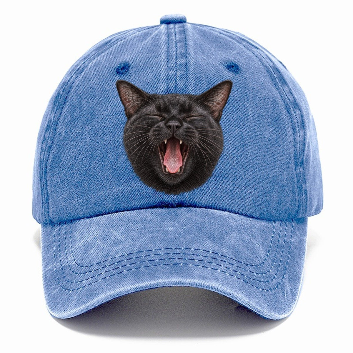 Black Cat Velvet Yawn Pastimes Companions Classic Cap – Summer Sky