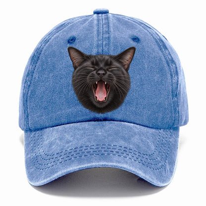 Black Cat Velvet Yawn Pastimes Companions Classic Cap – Summer Sky