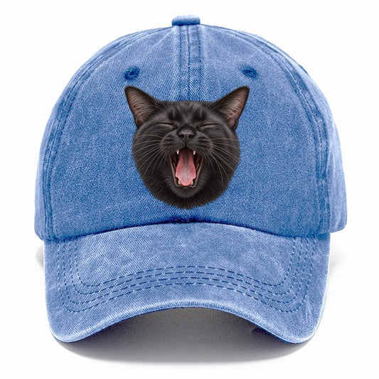 Black Cat Velvet Yawn Pastimes Companions Classic Cap – Summer Sky