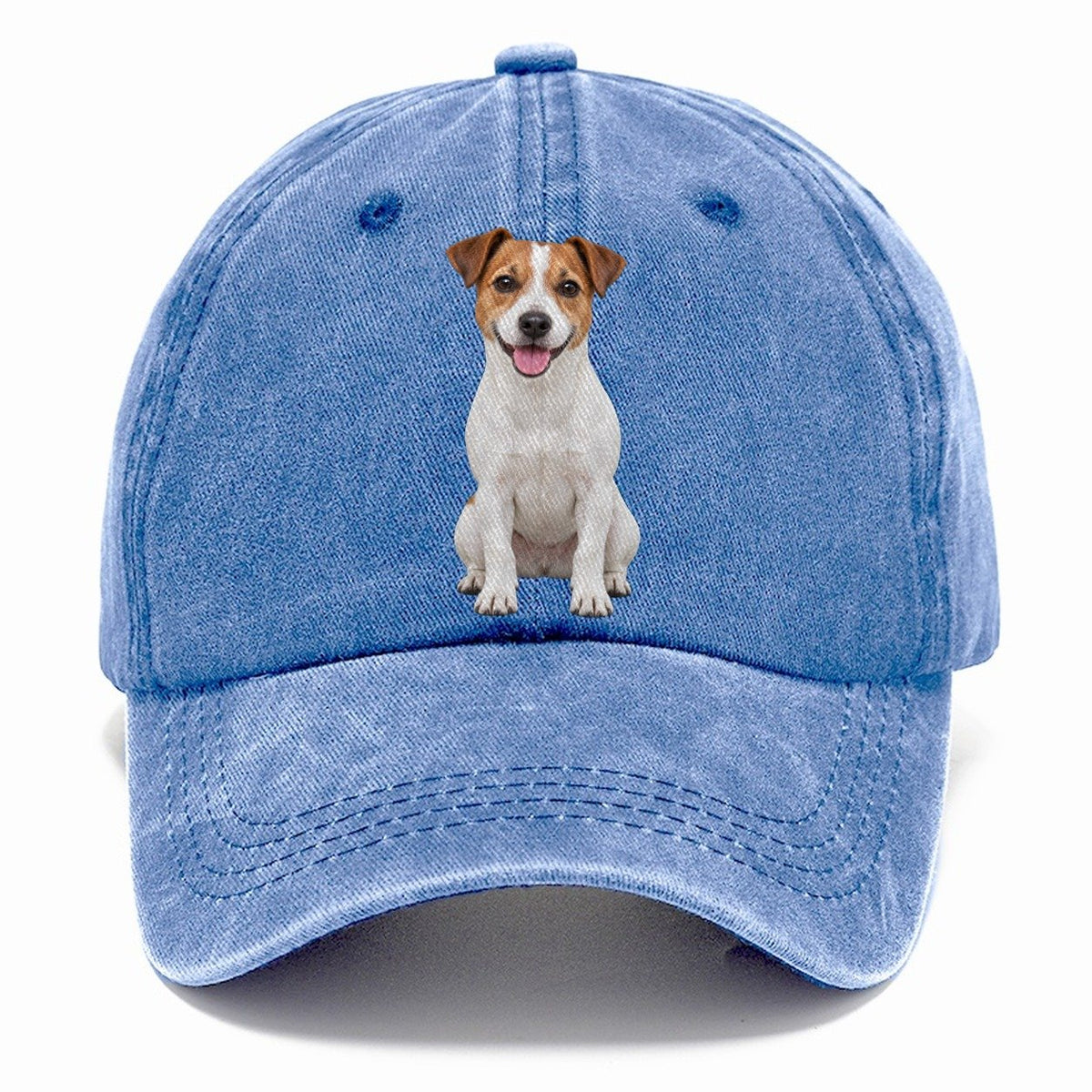 Jack Russell Terrier Sitting Top Breeds Classic Cap – Summer Sky