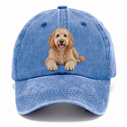 Goldendoodle Lying Down Top Breeds Classic Cap – Summer Sky