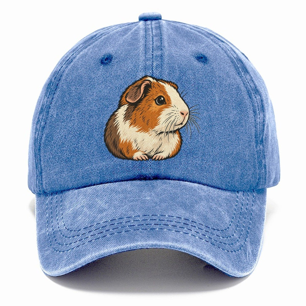 Guinea Pig Whisker Look Small Pet Logos Classic Cap – Summer Sky