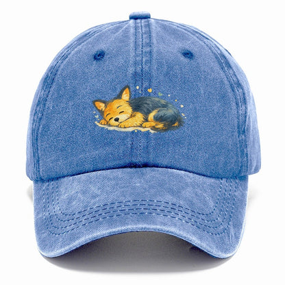 Sleeping Fox Curled Up Classic Cap – Summer Sky
