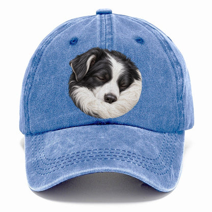 Border Collie Ruff Tuck Pastimes Companions Classic Cap – Summer Sky