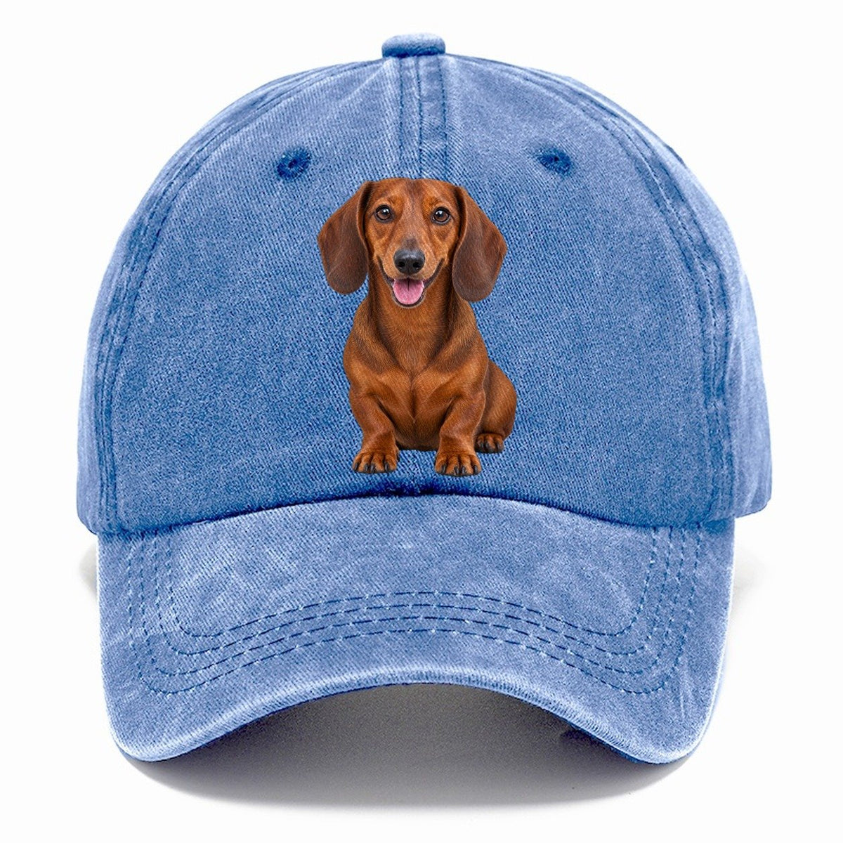 Dachshund Sitting Top Breeds Classic Cap – Summer Sky
