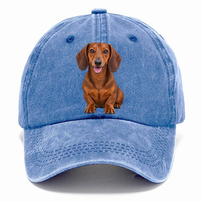 Dachshund Sitting Top Breeds Classic Cap – Summer Sky