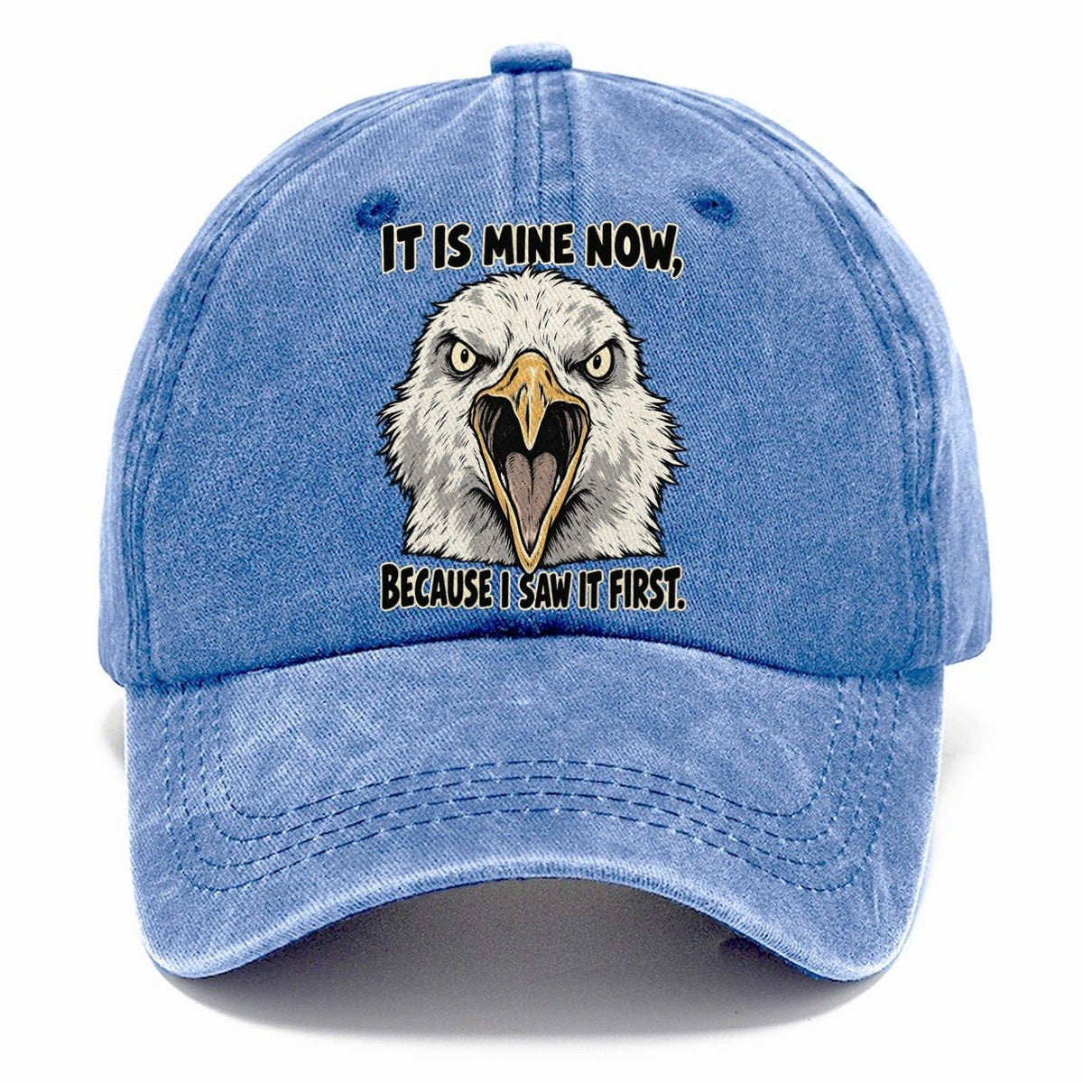 It Is Mine Now Feral Logic Classic Cap – Summer Sky