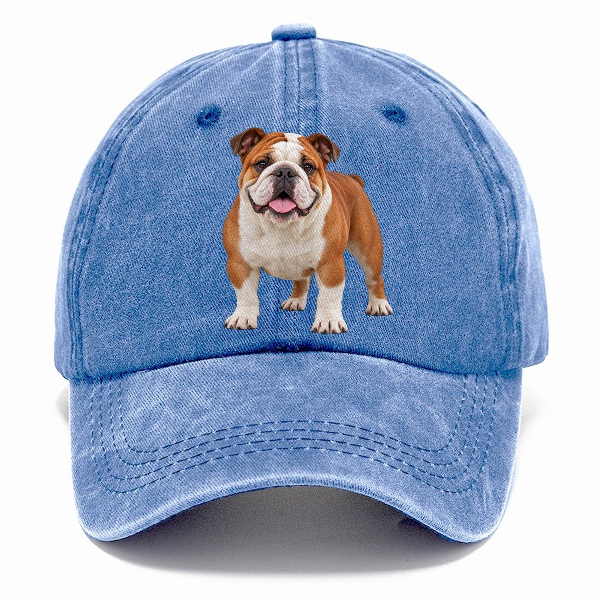 English Bulldog Standing Top Breeds Classic Cap – Summer Sky