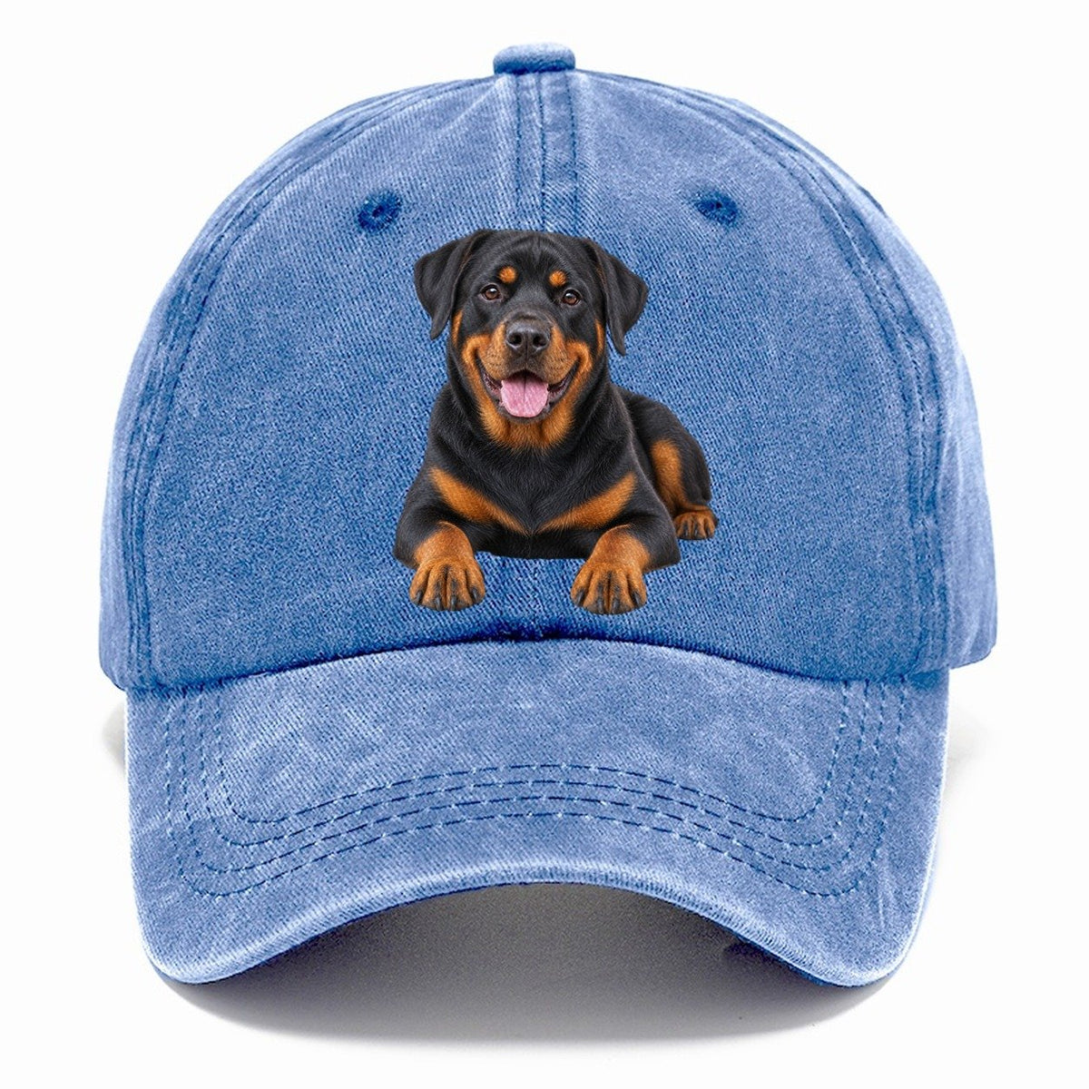 Rottweiler Sitting Top Breeds Classic Cap – Summer Sky
