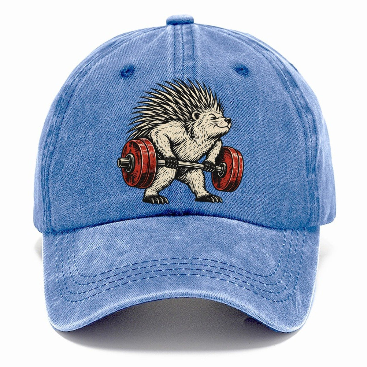 Porcupine Quill Rows Animal Lifters Classic Cap – Summer Sky
