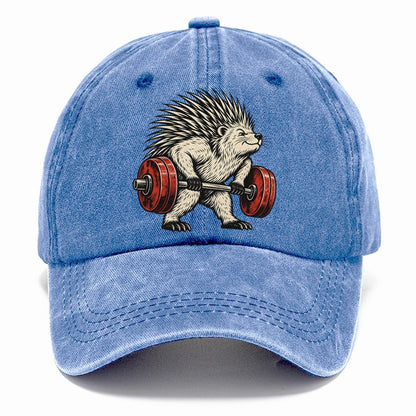 Porcupine Quill Rows Animal Lifters Classic Cap – Summer Sky