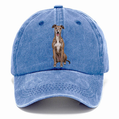 Greyhound Sitting Top Breeds Classic Cap – Summer Sky