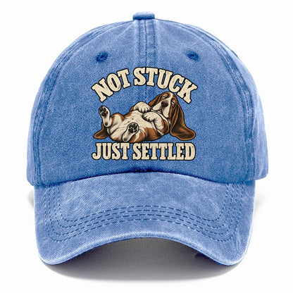Basset Comfortably Settled Character Club Classic Cap – Summer Sky