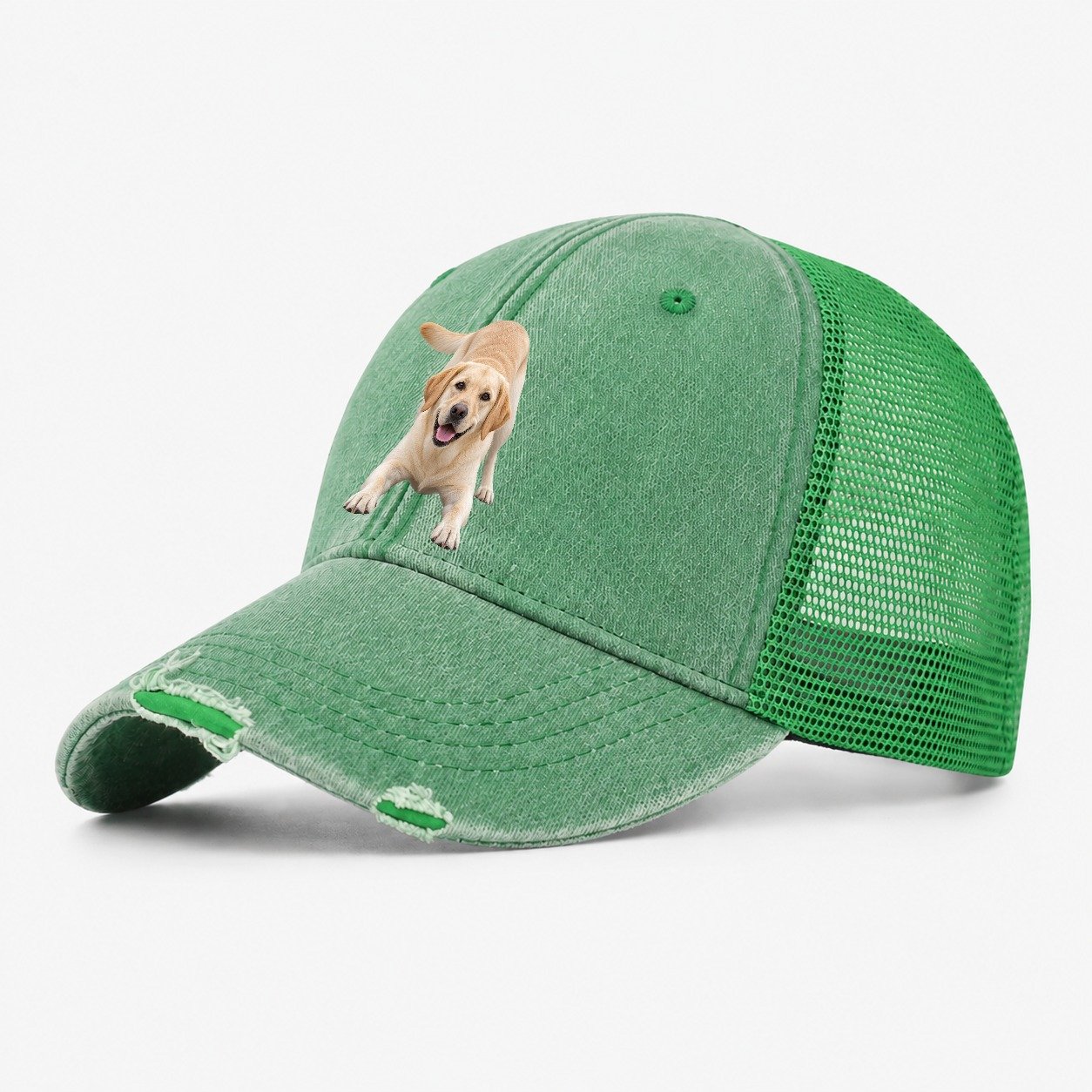 Labrador Retriever Play Bow Top Breeds Washed Trucker Hat – Ink Green