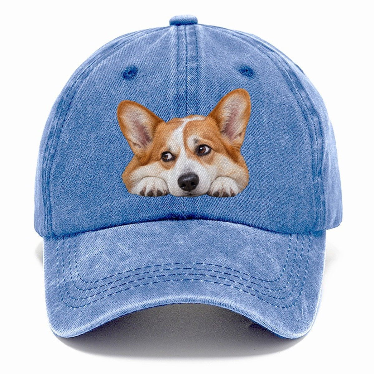 Corgi Resting Chin Character Club Classic Cap – Summer Sky