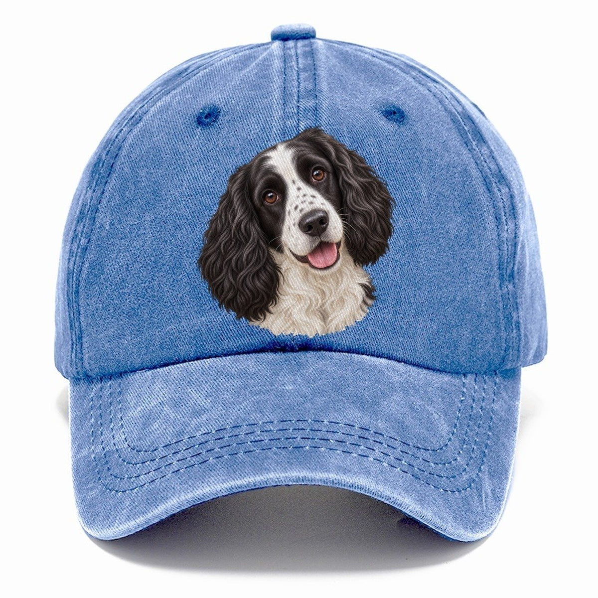 Springer Black And White Tilt Pastimes Companions Classic Cap – Summer Sky