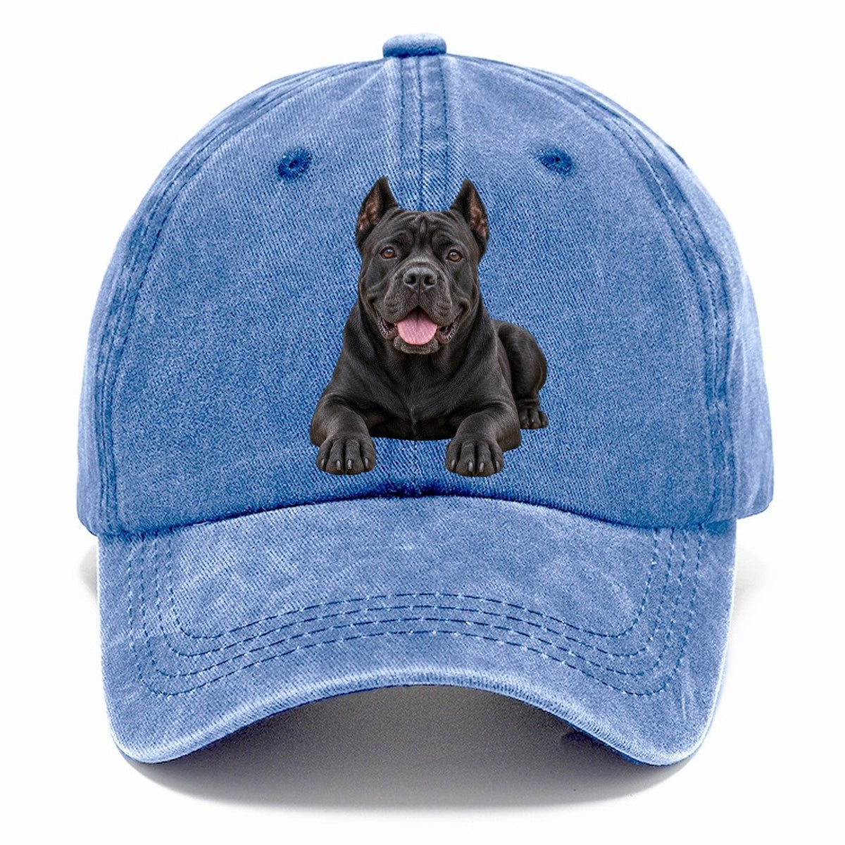 Cane Corso Lying Down Top Breeds Classic Cap – Summer Sky