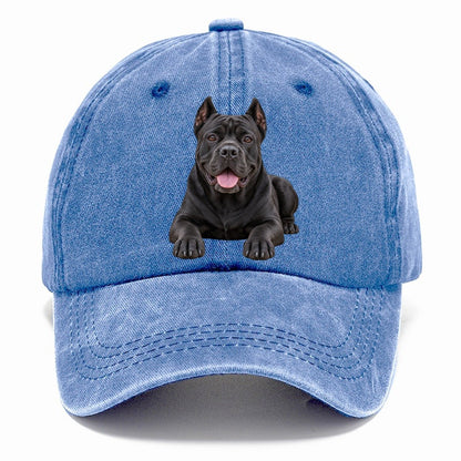 Cane Corso Lying Down Top Breeds Classic Cap – Summer Sky