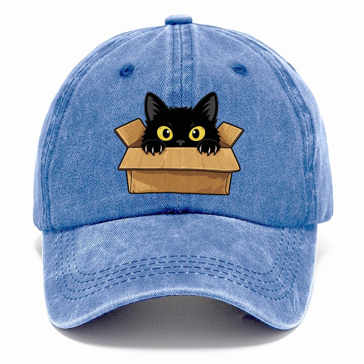 Black Cat Cardboard Box Fan Favorites Classic Cap – Summer Sky