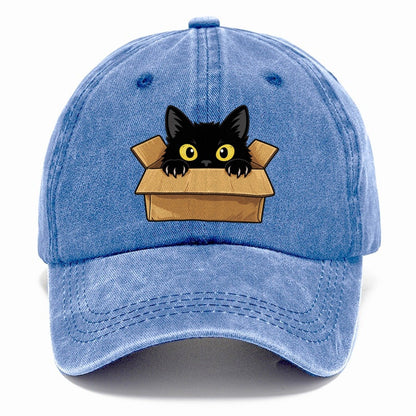 Black Cat Cardboard Box Fan Favorites Classic Cap – Summer Sky