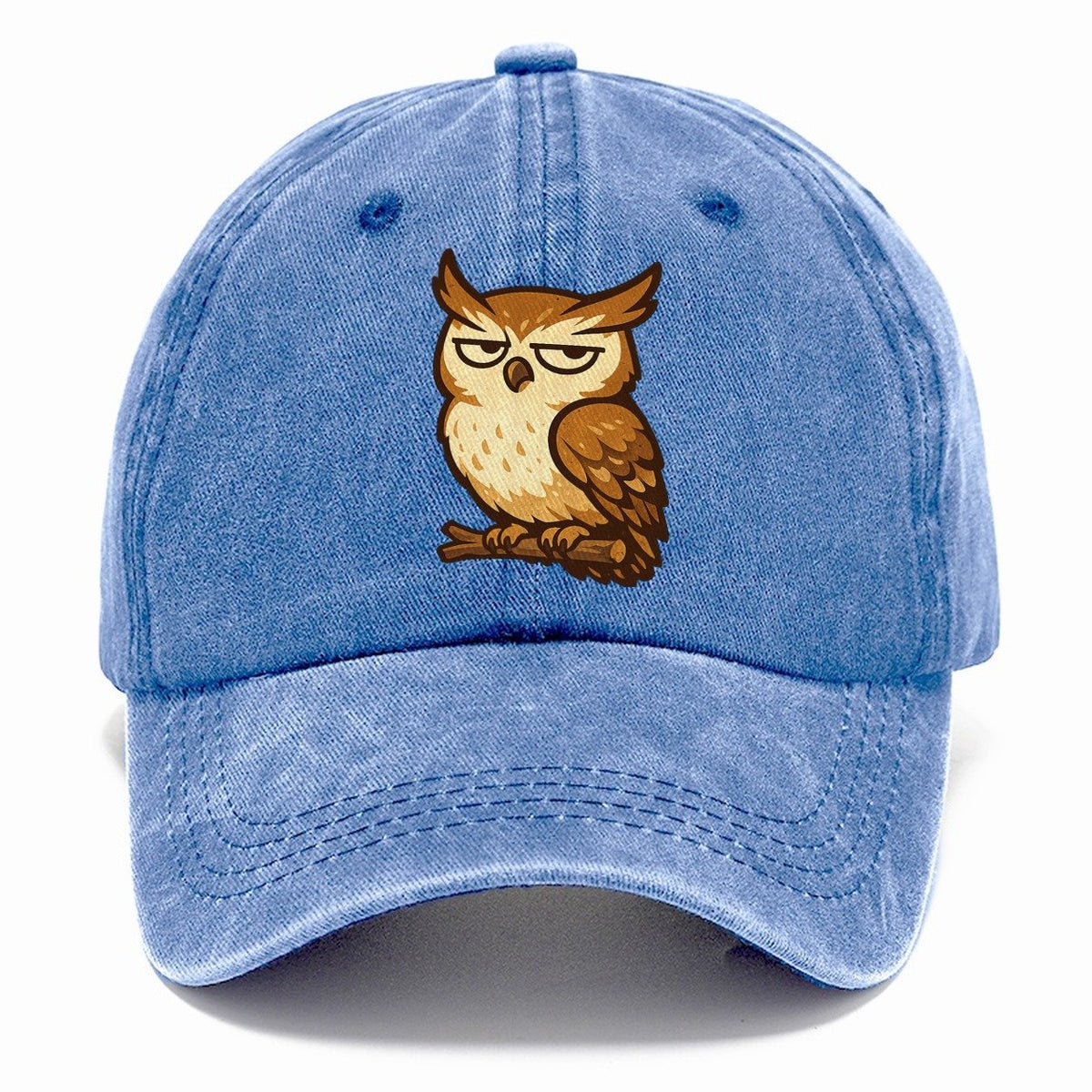 Grumpy Owl on Branch Classic Cap – Summer Sky