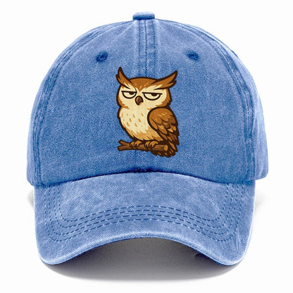 Grumpy Owl on Branch Classic Cap – Summer Sky