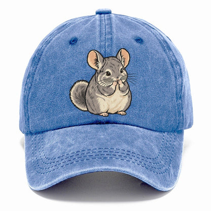 Chinchilla Whisker Wash Small Pet Logos Classic Cap – Summer Sky