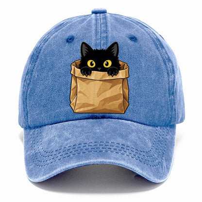 Black Cat Paper Bag Fan Favorites Classic Cap – Summer Sky