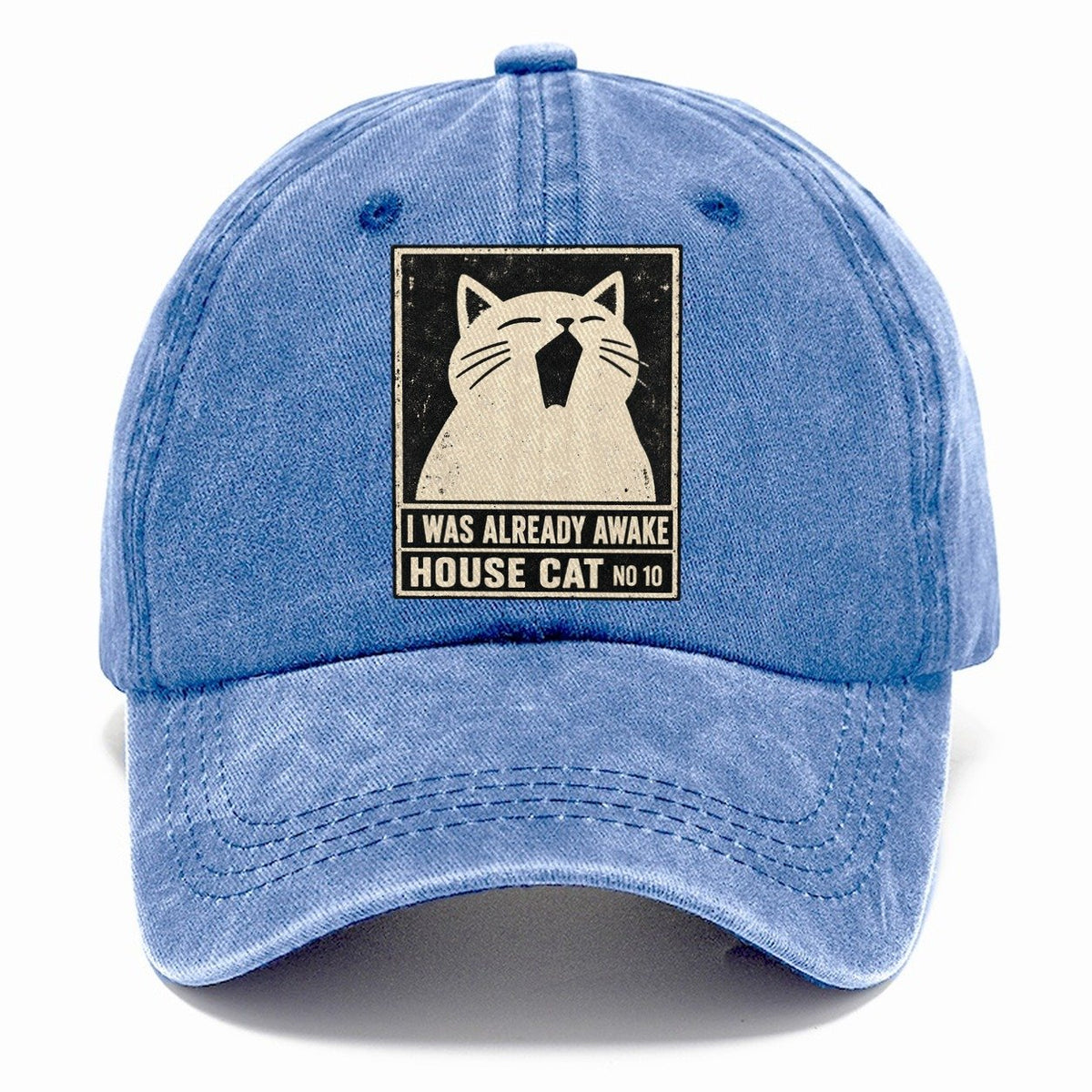 I Was Already Awake Neko Says No Classic Cap – Summer Sky