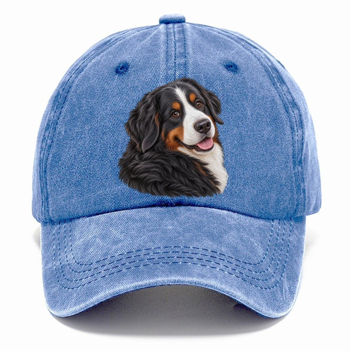 Bernese Over Shoulder Welcome Pastimes Companions Classic Cap – Summer Sky