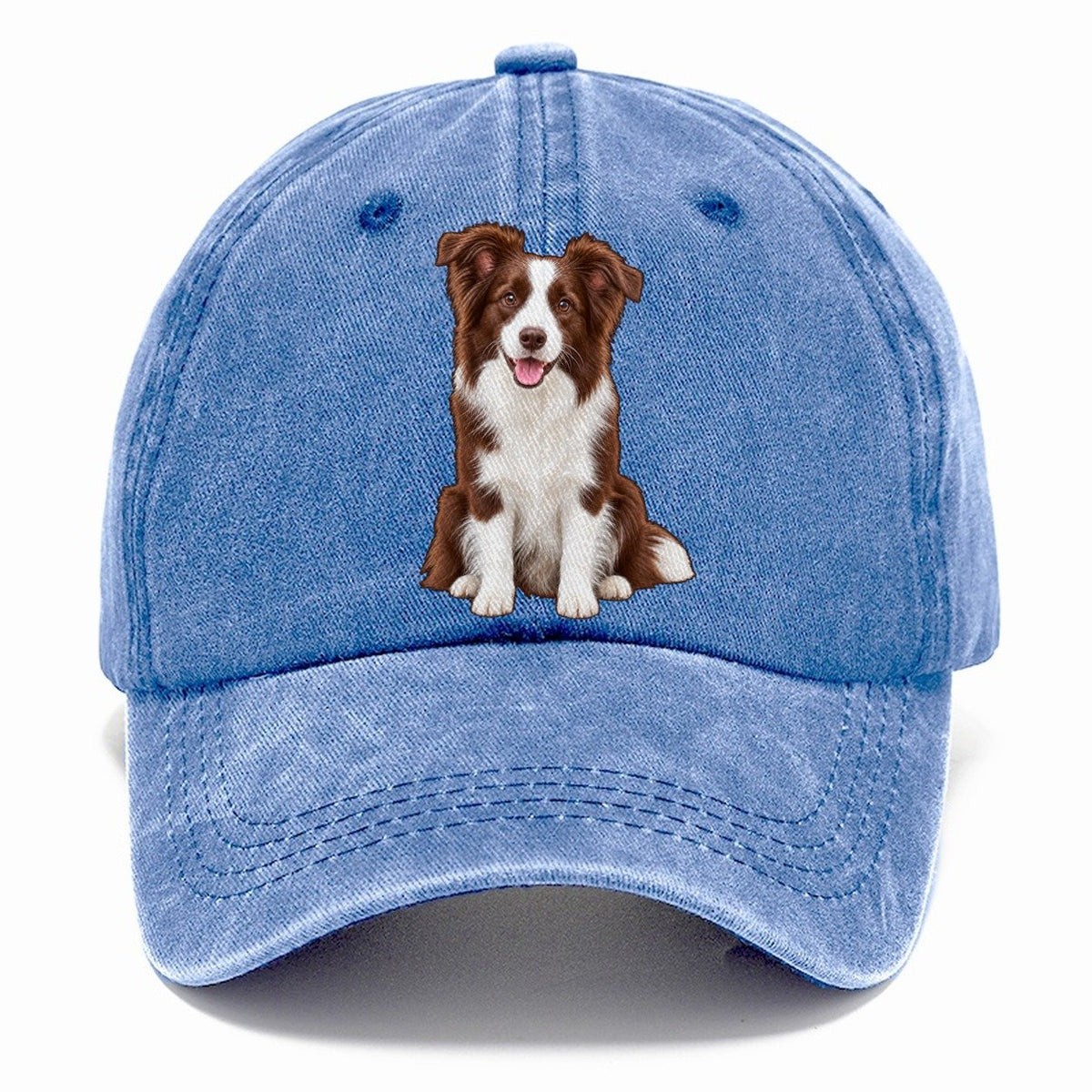 Brown And White Border Collie Classic Cap – Summer Sky