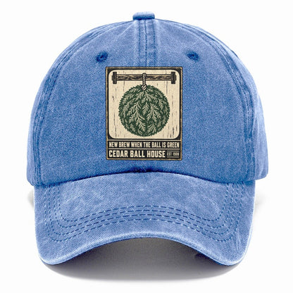 Cedar Ball House Izakaya Rules Classic Cap – Summer Sky