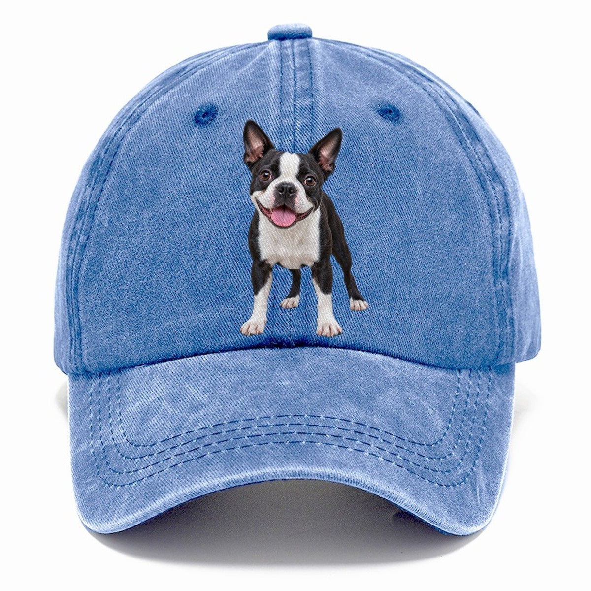 Boston Terrier Standing Top Breeds Classic Cap – Summer Sky