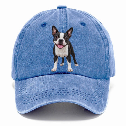 Boston Terrier Standing Top Breeds Classic Cap – Summer Sky