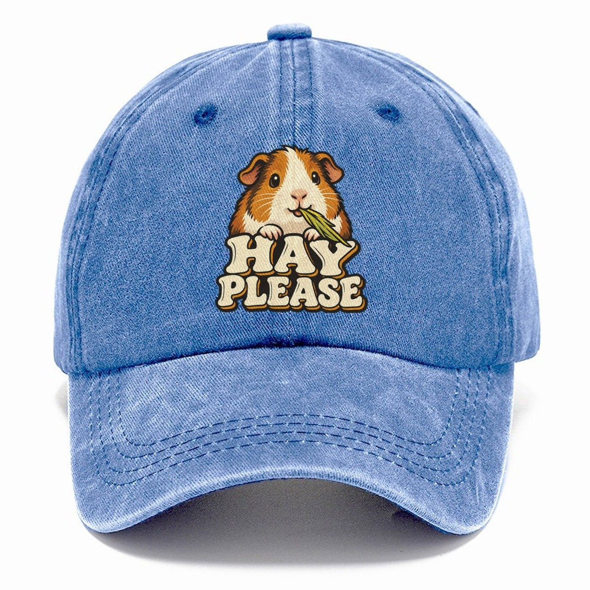 Hay Please Small Pet Logos Classic Cap – Summer Sky