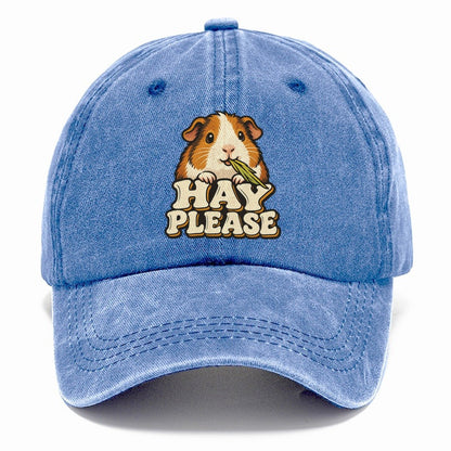 Hay Please Small Pet Logos Classic Cap – Summer Sky