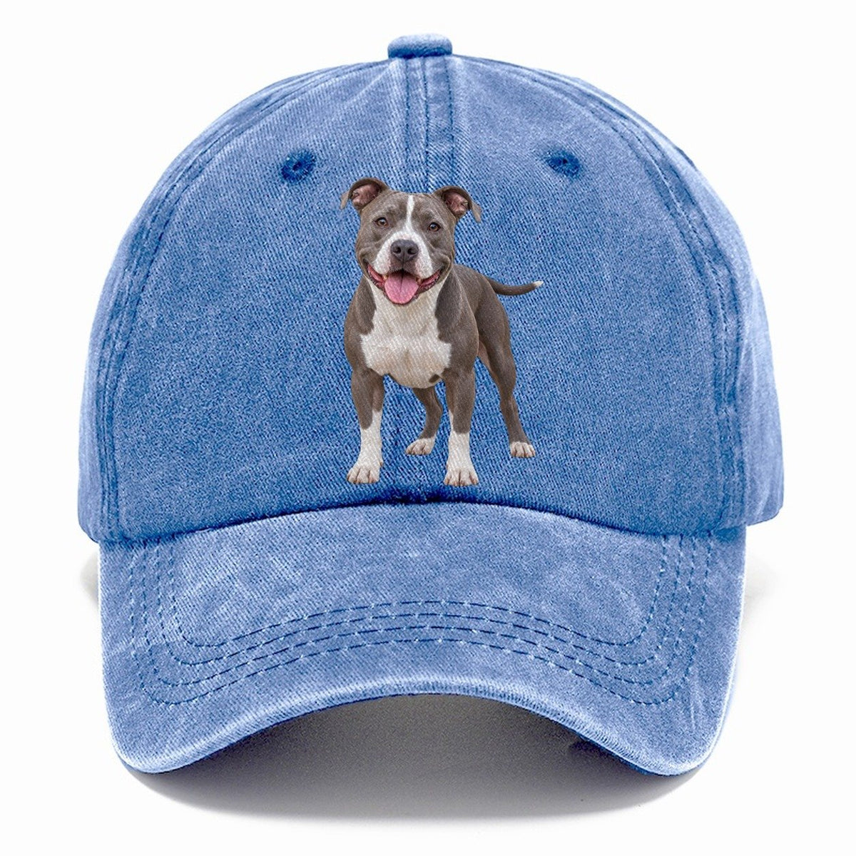 Pit Bull Terrier Standing Top Breeds Classic Cap – Summer Sky