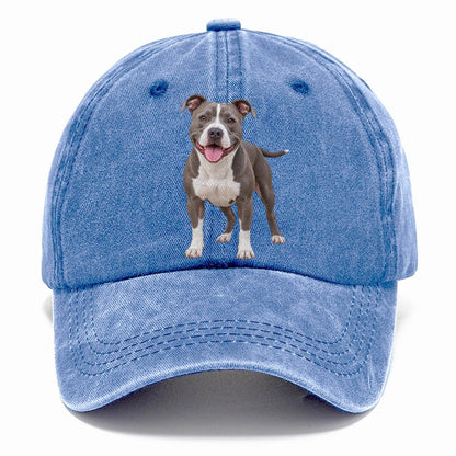Pit Bull Terrier Standing Top Breeds Classic Cap – Summer Sky