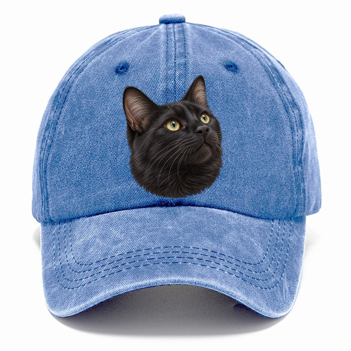 Black Cat Upturned Whiskers Pastimes Companions Classic Cap – Summer Sky