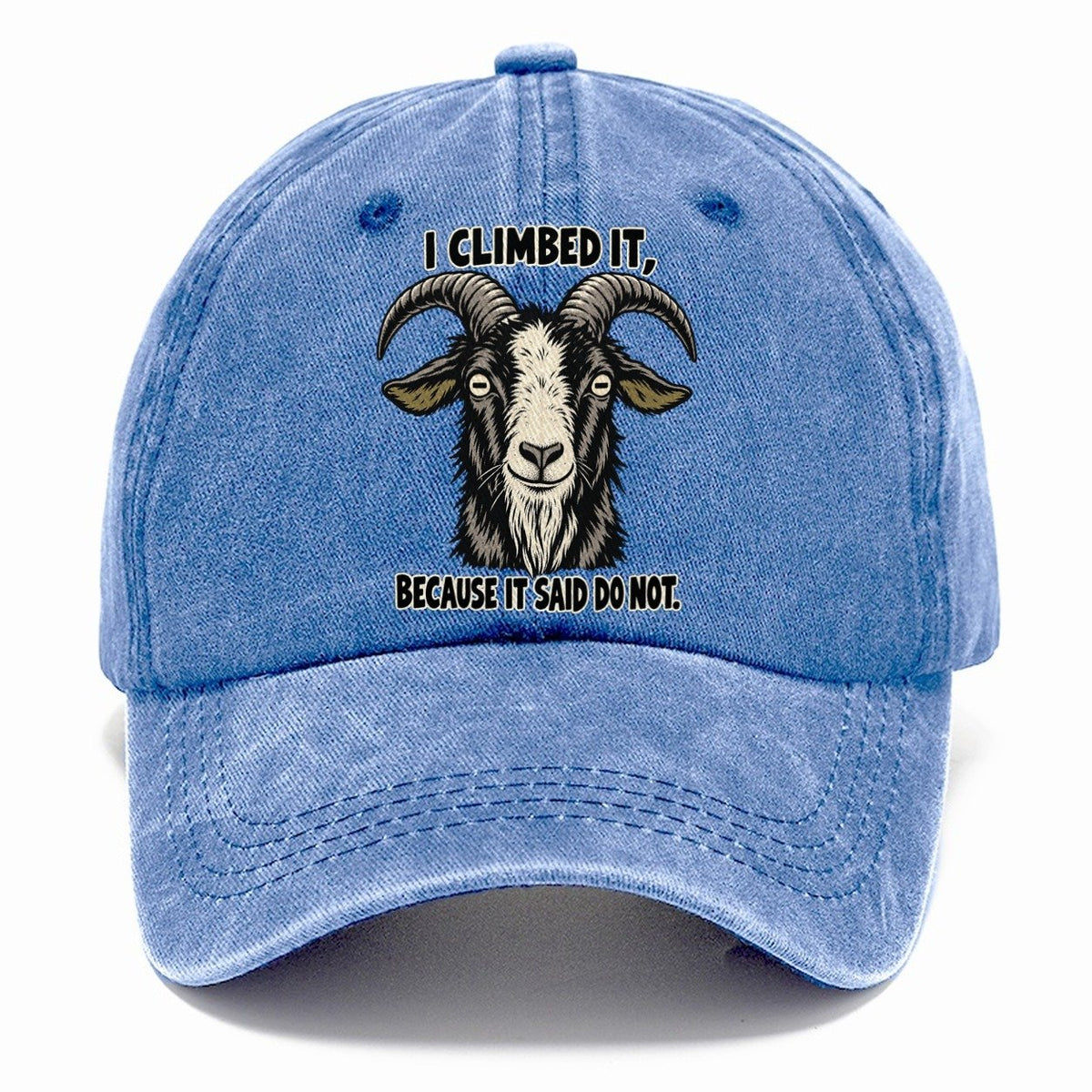 I Climbed It Feral Logic Classic Cap – Summer Sky