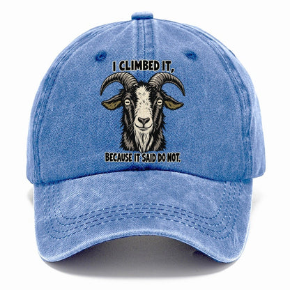 I Climbed It Feral Logic Classic Cap – Summer Sky