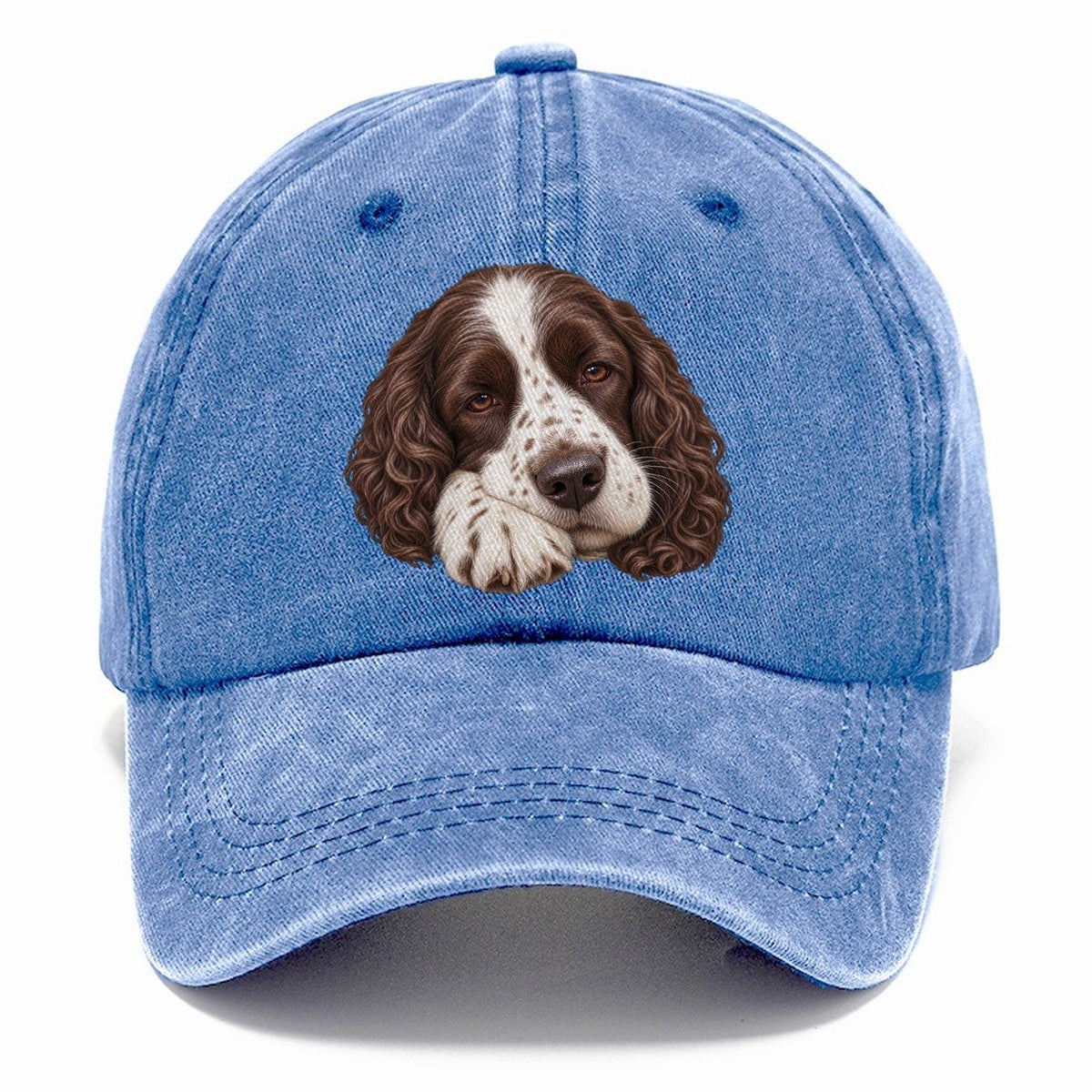 Springer Sleepy Paw Fold Pastimes Companions Classic Cap – Summer Sky