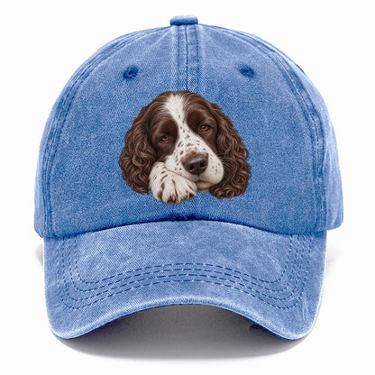 Springer Sleepy Paw Fold Pastimes Companions Classic Cap – Summer Sky